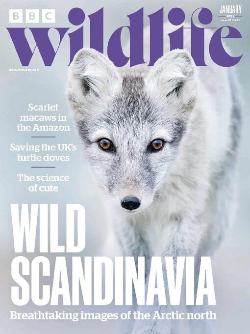 Upplýsingar um BBC Wildlife Magazine eftir Our Media Limited - Til útláns